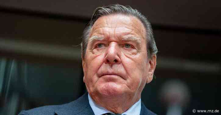 Russland-Engagement:  Heidelberger SPD fordert Gerhard Schröders Partei-Ausschluss