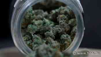 Polizei stellt Marihuana im Wert von 6500 Euro sicher - hna.de