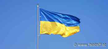 »Helfi Boys«: Große Gastro-Hilfsaktion für die Ukraine