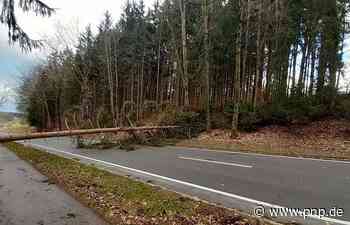 Sturmtief hält Feuerwehren im Landkreis Traunstein auf Trab - Traunstein - Passauer Neue Presse - PNP.de
