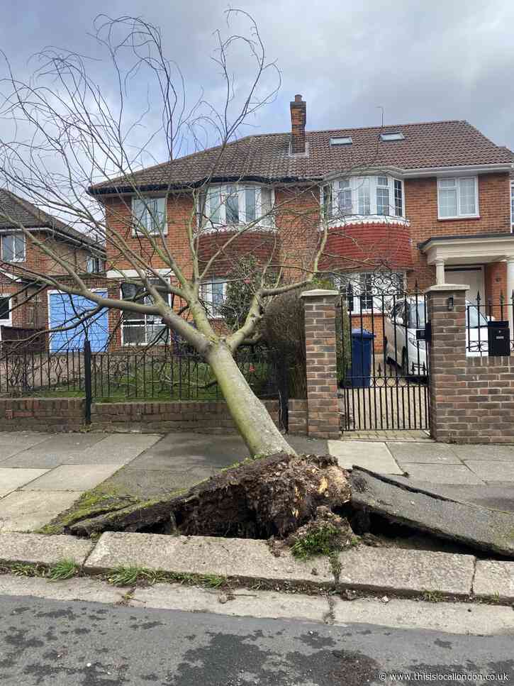 Storm Eunice - A summary - Tilly Campbell Wheeler - LUS
