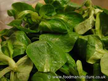 New vertical farm secures £100m investment