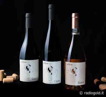 Tre vini 2022 Pinot e Riesling alle Cantine di Casteggio - Radio Gold