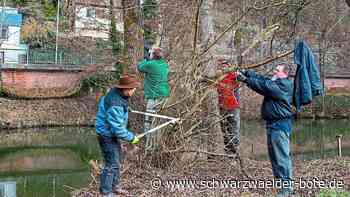 Einsatz in Wildberg: Angler lichten Gebüsch am Nagoldufer
