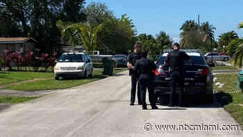 Neighbor Shoots and Kills Dog That Attacked Owner's Girlfriend in Lauderhill: Police