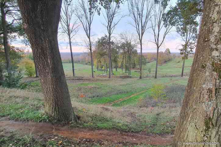 Verharding in onze provincie neemt razendsnel toe: “Om de twee dagen verdwijnt er ruim een hectare aan open ruimte”