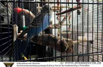 FW-M: Zimmerbrand mit hohem Sachschaden (Am Hart)