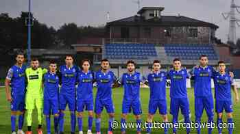 ESCLUSIVA TMW - Caso Seregno, ecco i deferimenti. Erba: "Felice, ho sempre detto la verità" - TUTTO mercato WEB