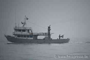 Deutsche Reeder hoffen auf «Ruhe nach dem Sturm» - freiepresse.de