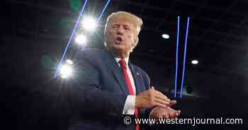 Trump Celebrates 'Big Night' of Texas Primary Victories