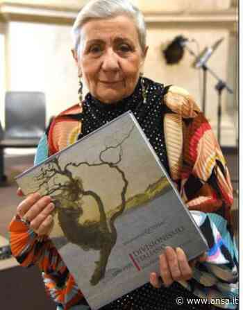 Il 'Divisionismo italiano' nell'opera di A.P. Quinsac - Agenzia ANSA