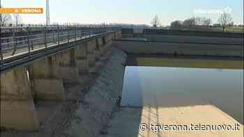 Canale irriguo LEB Adige-Guà: opera da 53 milioni di euro VIDEO - TG Verona