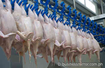 Besides fuel, costlier meat products could hurt PHL consumers | Jasper Y. Arcalas - BusinessMirror