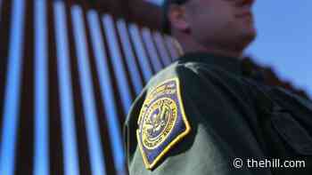 Supreme Court weighs whether to permit suit against Border Patrol agent