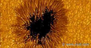 Sunspot Looks Like a Gaping, Toothy Maw in Wild Solar Telescope Image     - CNET