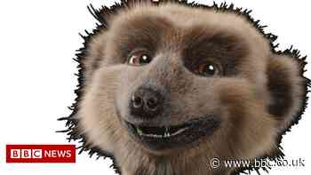 Meerkat ads pulled over Ukraine war sensitivities