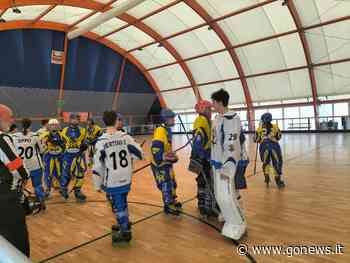 Hockey , Bomporto e Modena le sfidanti dei Flying Donkeys di Empoli - gonews