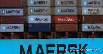 Shipping delays may spoil food, medical shipments to Russia, Maersk says - Reuters