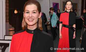 Rosamund Pike makes a statement in a red-and-black dress at National Youth Theatre Fundraising Gala - Daily Mail