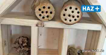 Stadtbibliothek Garbsen lädt Kinder zum Bau von Insektenhotels ein - HAZ