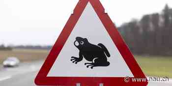 Verkehrsbeschränkung der Strasse Stetten-Sulz in Stetten AG - Nau.ch