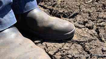 As other states flood, Tasmania endures driest summer in 40 years