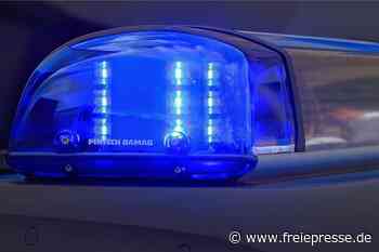 13.800 Euro Schaden durch Stahlkugeln in Reichenbach - freiepresse.de