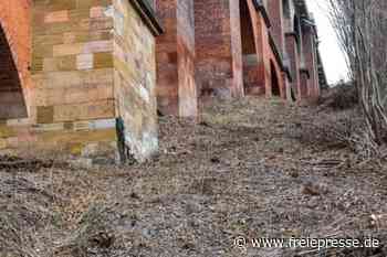 Freie Sicht an der Brücke - freiepresse.de
