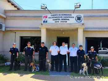 Bomberos habilitan unidad canina de búsqueda en Carapeguá - Nacionales - ABC Color
