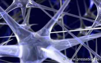 Deutsche Gesellschaft für Workflow-Management im Gesundheitswesen (DGWMiG) e.V. gegründet - PresseBox