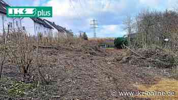 Kahlschlag unter Stromleitungen in Hemer - IKZ News
