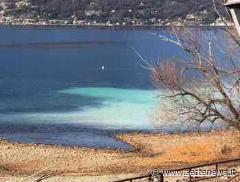 Allarme sversamento liquami nel lago a Germignaga - Settenews