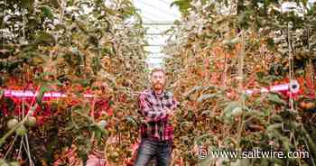 Lawrencetown greenhouse operation steadies cash flow by letting its light shine - SaltWire NS
