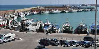 Pesca e regole, per un mese è vietato sbarcare l'alalunga - Termoli Online