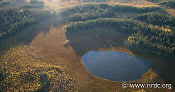 The Waswanipi Cree Tirelessly Defend Their Boreal Homeland - NRDC (Natural Resources Defense Council)