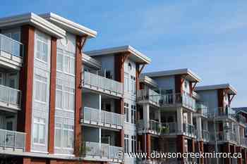 Could a housing cooling off period alleviate BC's market? - Dawson Creek Mirror