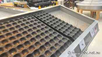 What to expect on the grocery store shelves after the Queensland floods