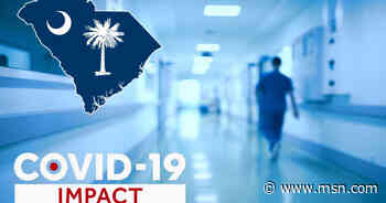 University of South Carolina announces changes to COVID-19 protocols, provost says - msnNOW