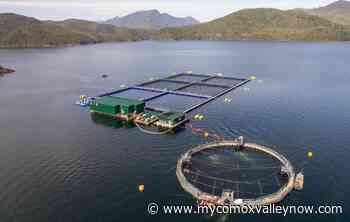 Fish farmers association raises concerns over licence renewals - My Comox Valley Now