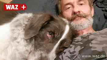 Witten: Nach sieben Jahren im Heim findet Balu ein Zuhause - WAZ News