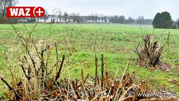 Witten: Stockum soll klimafreundliches Neubaugebiet bekommen - WAZ News
