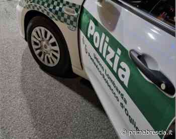 Fugge all'alt della Polizia Locale preso a Manerbio - Prima Brescia