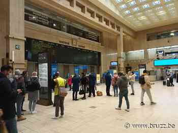 Veel hinder maar weinig frustratie in Brussel-Centraal: 'Ik geraak wel thuis' - BRUZZ