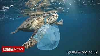 Plastic pollution: Green light for 'historic' treaty