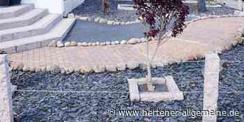 Schottergartenbesitzer in Marl sollen Flächen rückbauen und Gebühr zahlen - Hertener Allgemeine