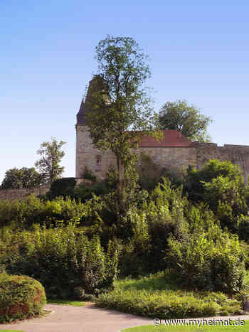 Schnappschüsse - Burgen und Schlösser: Burg Bentheim - Bad Bentheim - myheimat.de