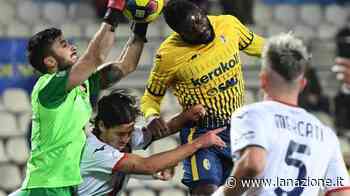 Montevarchi, il futuro in 3 giorni Con l’Ancona Matelica prima svolta - LA NAZIONE