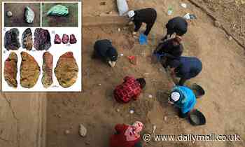 Remnants of 'innovative' Old Stone Age culture is unearthed in China