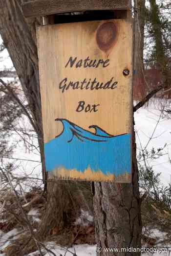 Port McNicoll woman shares gratitude, love of nature (5 photos) - MidlandToday