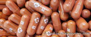 COVID-19: l’OMS recommande la pilule de Merck sous conditions